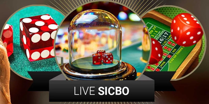 Lựa chọn cược Sicbo thu hút